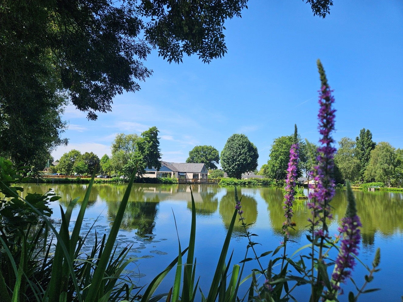 metier biodiversite renaturation2