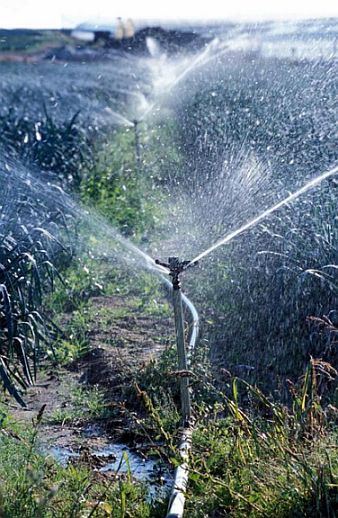 Eau irrigation Eau irrigation