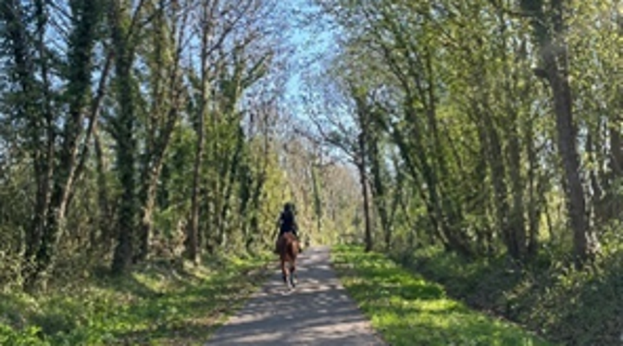 VOIES VERTES DREAL NORMANDIE